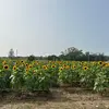 Maureen Ruff - @maureen.ruff - TikTok