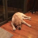 Maureen Rupert - @moknowsmjb123 - Instagram
