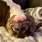 Maureen LeBlanc Sampson - @moesamp - Instagram