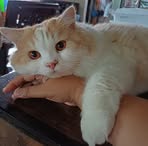 Maureen Sanchez - Facebook