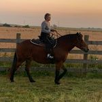 Maureen Saunders - @maureen.saunders.969 - Instagram