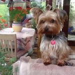 Maureen Saunders - @maureen.saunders.154 - Instagram