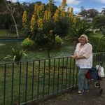 Maureen Saunders - @maureensaunders79 - Instagram