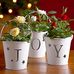 Maureen Samson - Facebook
