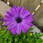 Maureen Schafer Ellis - @schaferellis - Instagram