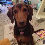 Maureen Schafer Siclare - @maureensiclare - Instagram