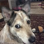 Maureen Schick - @whtepmpkn - Instagram