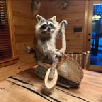 Maureen Schickler - @maureenschickler - Instagram