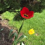 Maureen Schulz - @maureen_schulz - Instagram