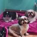 Maureen Schwartz - Facebook