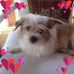 Maureen K Schweitzer - Facebook
