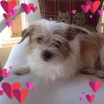 Maureen K Schweitzer - @schweitzermaureen - Instagram