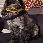 Maureen Scullion - @maureenscullion1 - Instagram