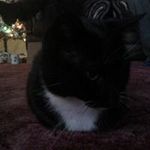 Maureen Scullion - @maureenscullion3 - Instagram