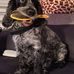Maureen Scullion - Facebook
