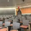 maureen - @maureen.sellers - TikTok