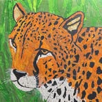 Maureen Seltzer - Facebook