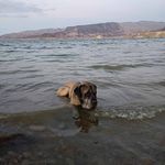 Maureen Shafer - @maureen.shafer.940 - Instagram