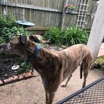 Maureen Shafer Woodruff - @woodruffmaureen - Instagram
