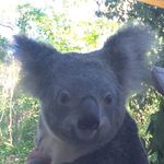 Maureen Laing Sheppard - @masheppard - Instagram