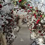 Maureen Sheppard - @maureen_2230 - Instagram