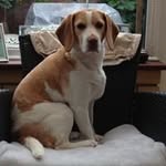 Maureen Silverstein - @maureensilverstein - Instagram