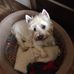 Maureen Simmons - Facebook