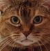 Maureen Sinclair - Facebook