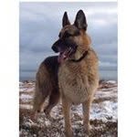 Maureen Sinclair - @zen172221 - Instagram