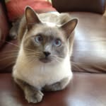 Maureen Moffatt-Small - @mimsmall197 - Instagram