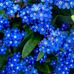 Maureen Small - Facebook