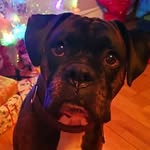Maureen Smith - @maureensmith8314 - Instagram