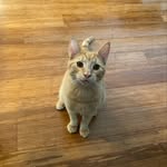 Maureen Socha - @infohound10 - Instagram