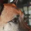 Maureen Squires - @maureen.squires - TikTok