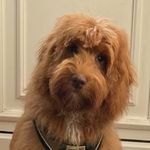 Maureen Stanley - @maureen_stanley71 - Instagram