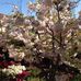 Maureen Stenger - Facebook