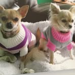 Maureen Stern - Facebook