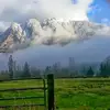 Maureen Still - @maureen.still - TikTok