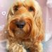 Maureen Strachan - Facebook