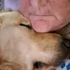 maureenstrahan - @maureenstrahan - TikTok