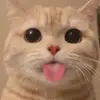 Maureen Suarez Rodriguez - @2165748153 - TikTok