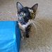 Maureen Sumner - Facebook