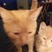 Maureen Sumner - Facebook