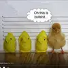 Maureen Sylvia - @maureen.sylvia5 - TikTok