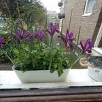 Maureen Tait - @maureentait44 - Instagram