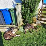 Maureen Tait - @tait_maureen - Instagram