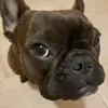 Maureen Tedesco - @maureen.tedesco - TikTok