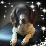 Maureen Todd - @spudmo70 - Instagram