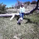 maureen trout - @maureentrout - Instagram