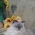 Maureen Troy - Facebook